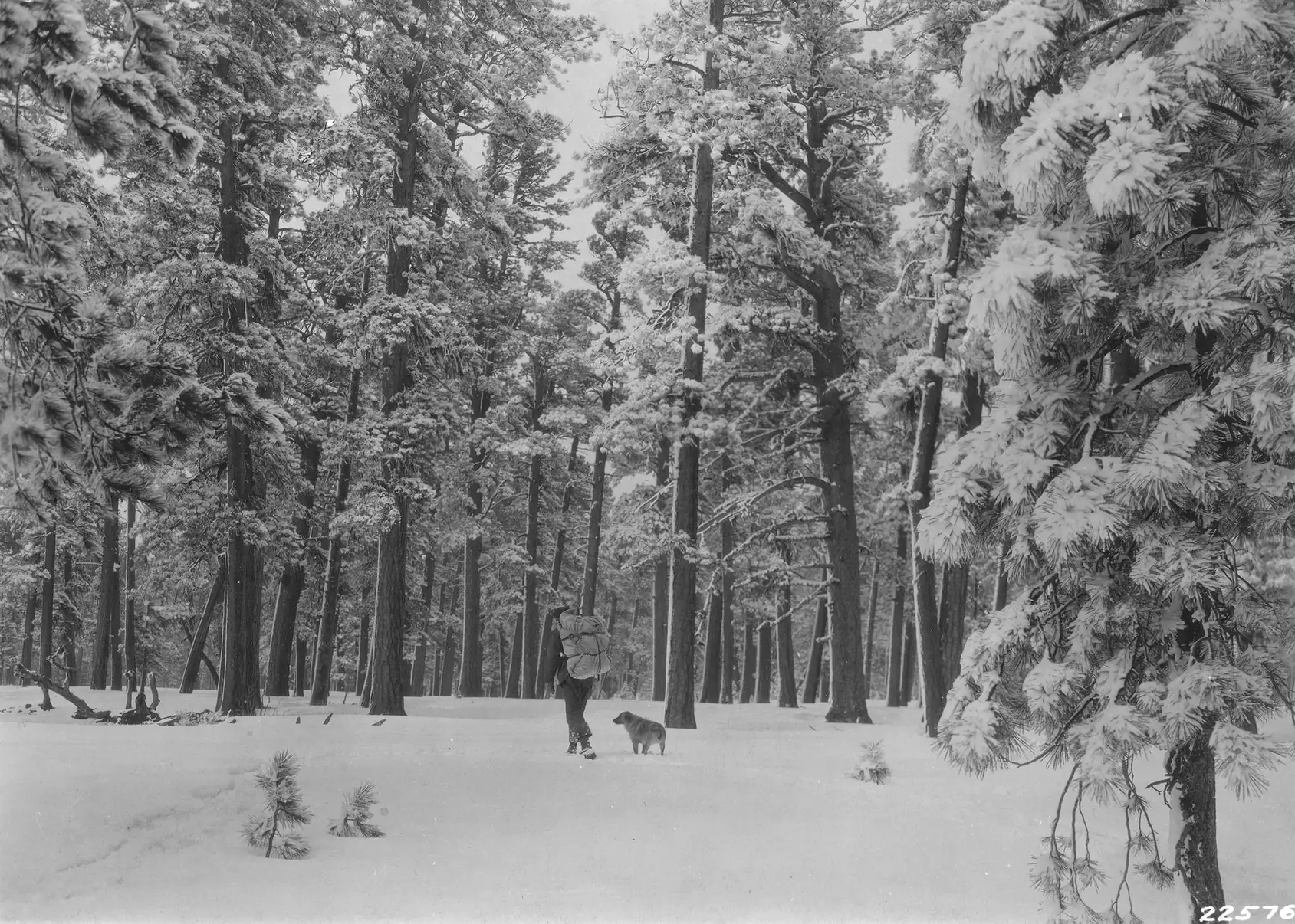 Trailside Retreat, Snowshoer traveling through a snowy mountain forest near the retreat, luxury vacation rental in Silverthorne, Colorado